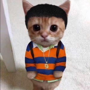 Meet your Posher, Monmer